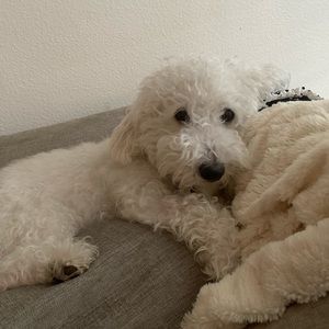 Meet your Posher, Katie